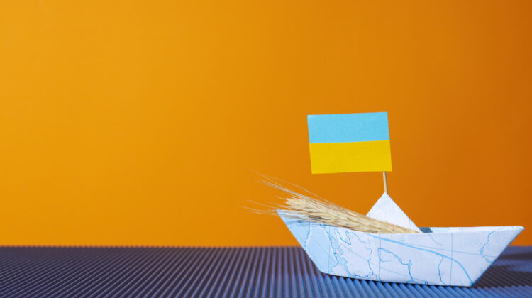 Відбір громад для розробки стратегії розвитку: можливість для громад Півдня України